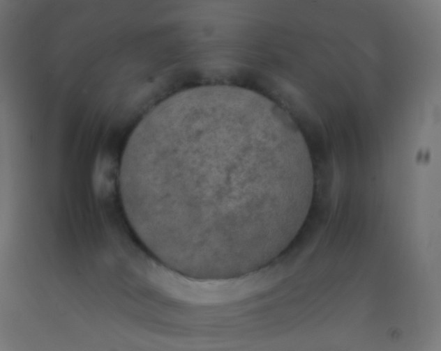 X0000092330038200709281435