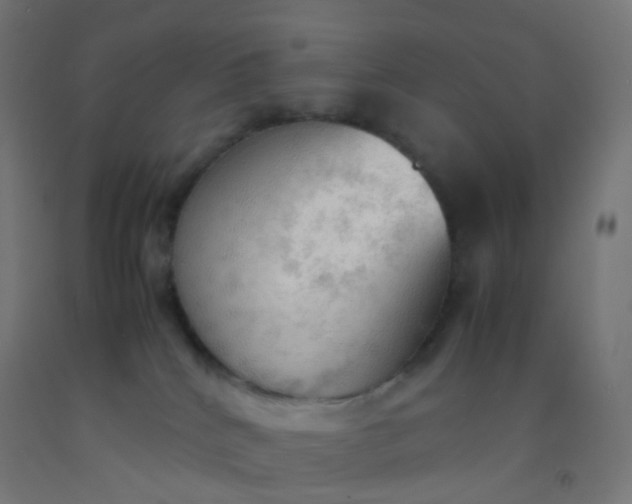 X0000092330040200709281435