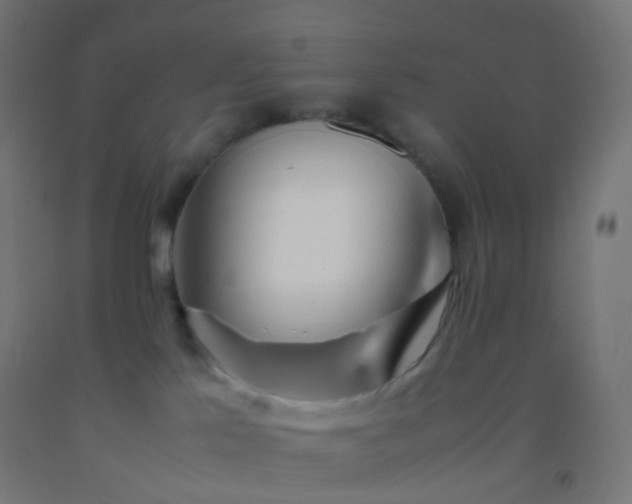 X0000092330041200709281435
