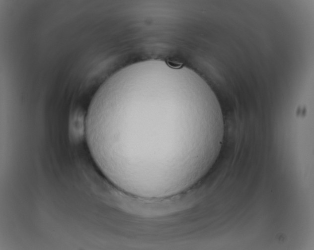 X0000092330042200709281435