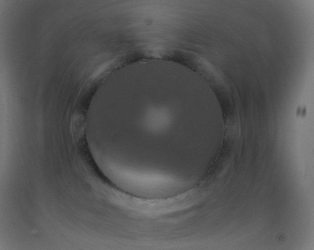 X0000092330043200709281435