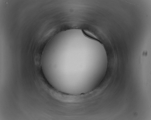 X0000092330044200709281435