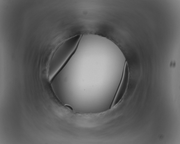 X0000092330045200709281435