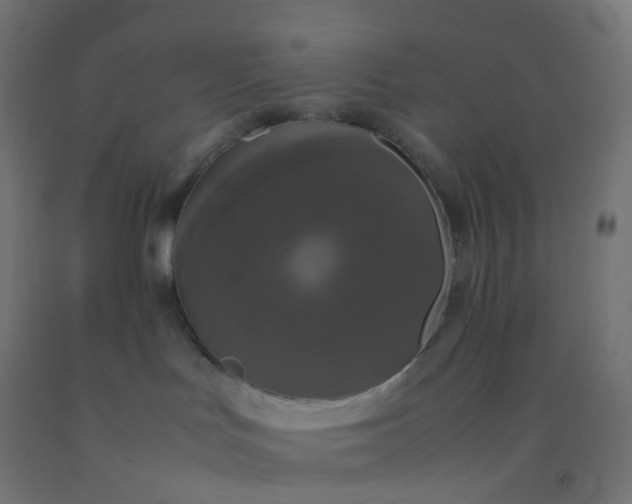 X0000092330047200709281435