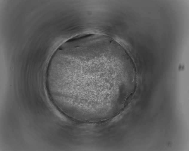 X0000092330049200709281434