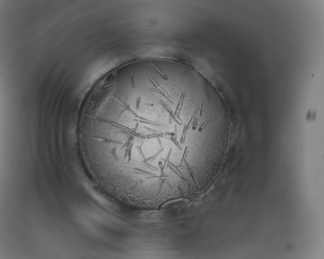 X0000092330050200709281434
