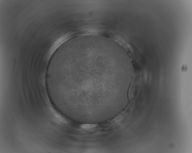 X0000092330051200709281434