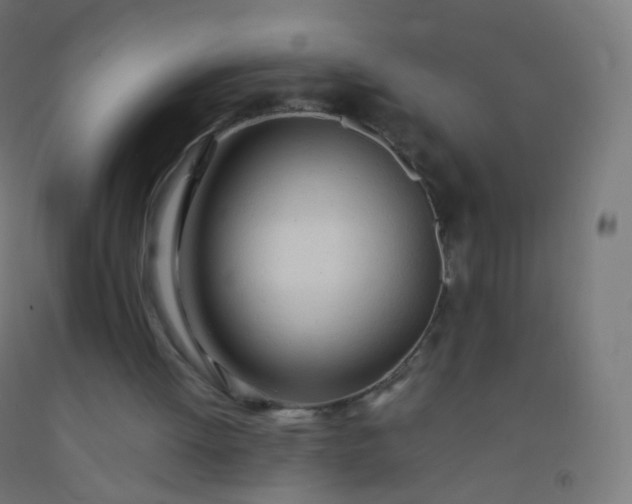 X0000092330052200709281434