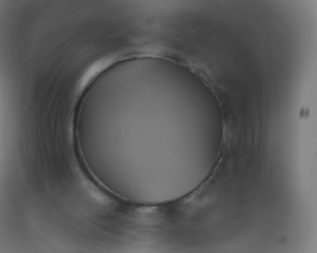 X0000092330054200709281434