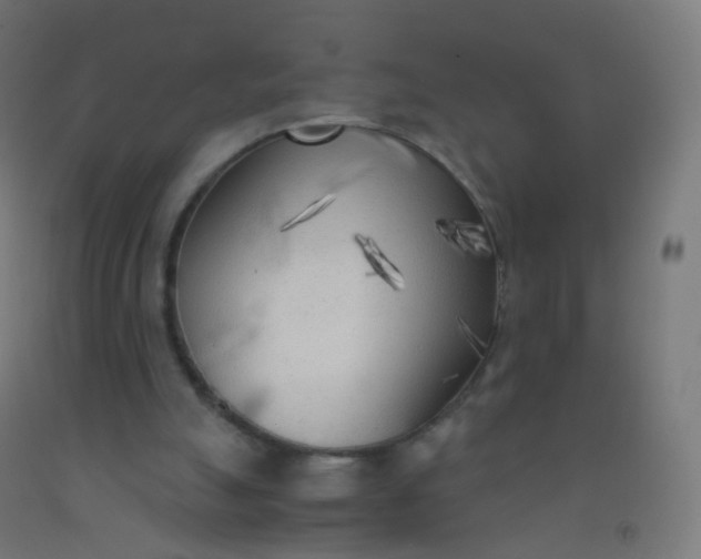 X0000092330055200709281434