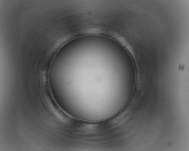 X0000092330057200709281434