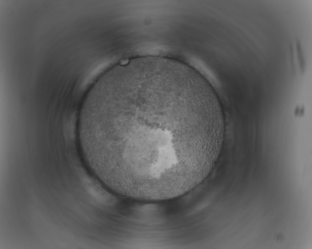 X0000092330058200709281434