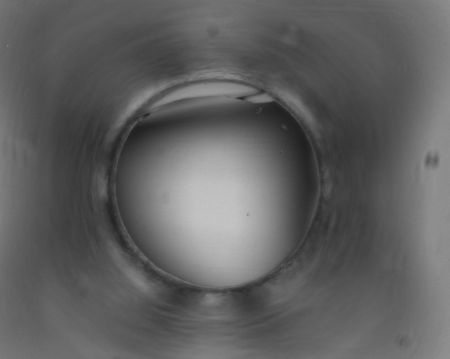X0000092330060200709281434