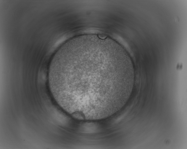 X0000092330063200709281434