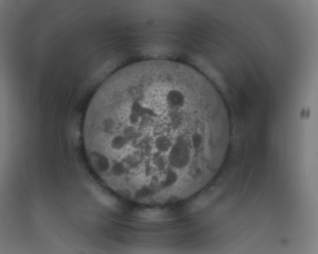 X0000092330065200709281435