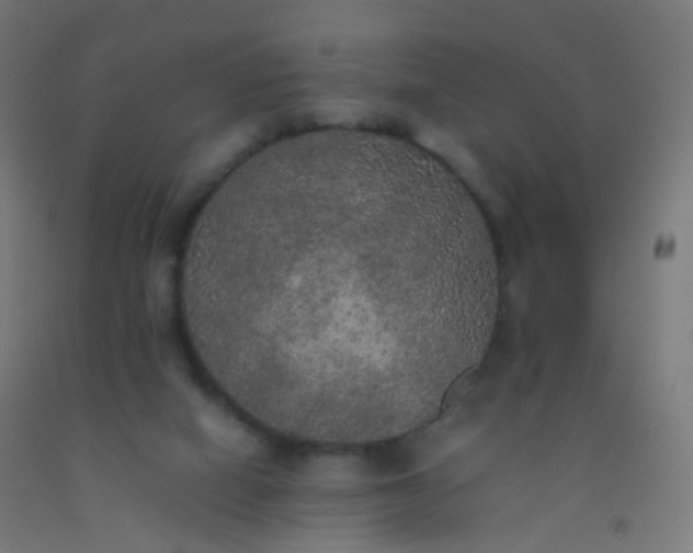 X0000092330066200709281435