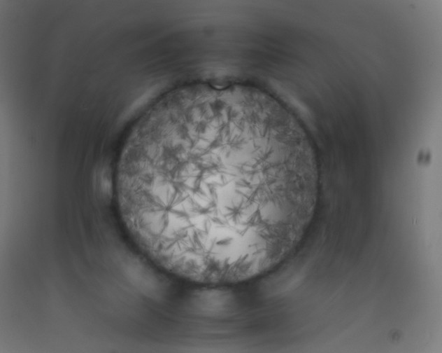 X0000092330067200709281435