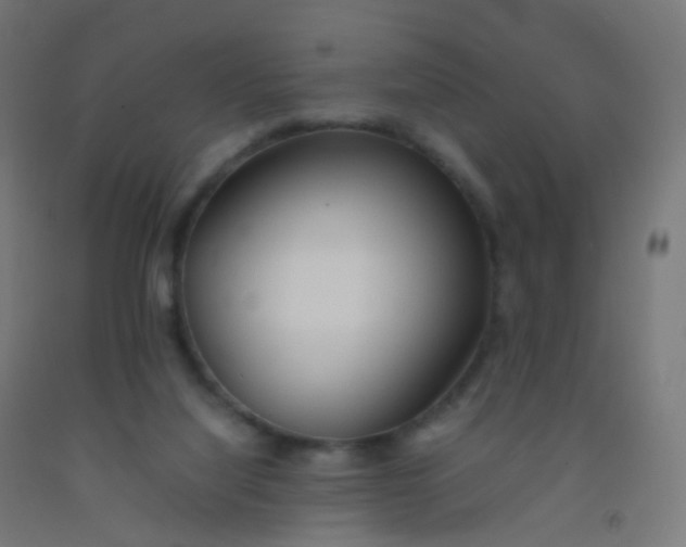 X0000092330068200709281435