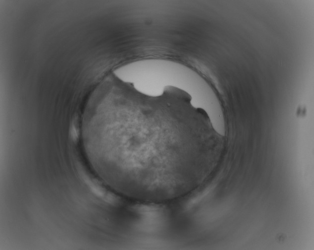 X0000092330069200709281435