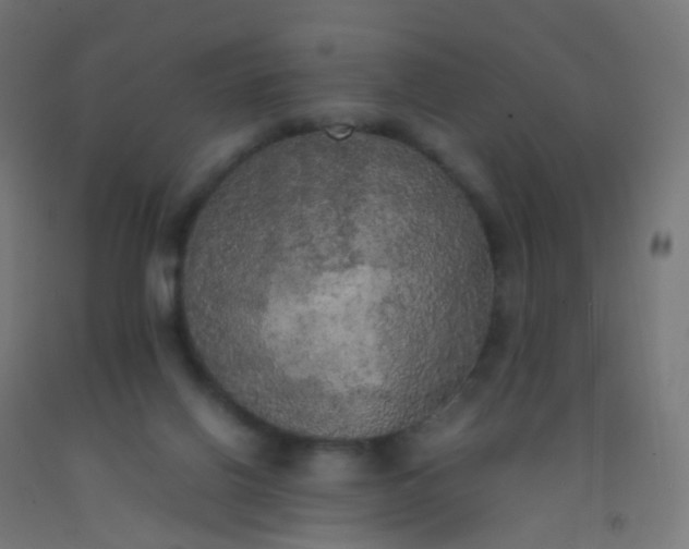 X0000092330070200709281435