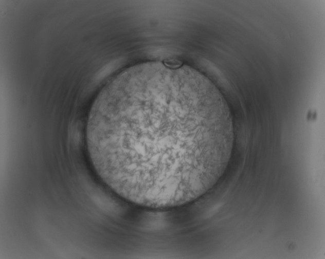 X0000092330071200709281435