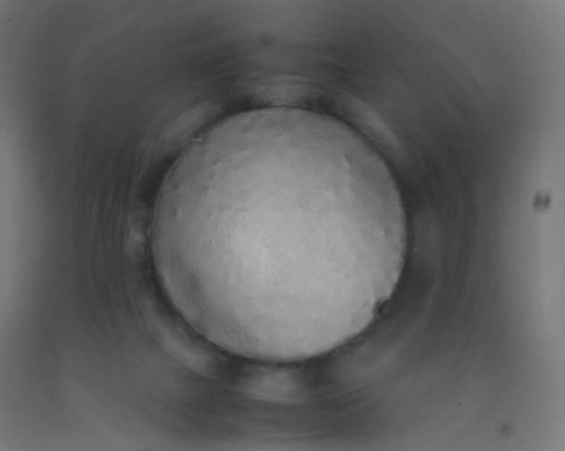 X0000092330073200709281435