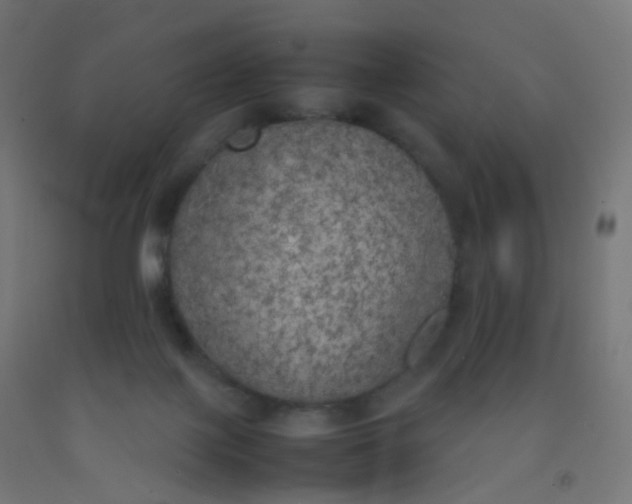 X0000092330075200709281435