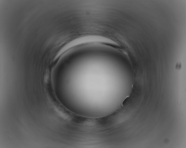 X0000092330076200709281435