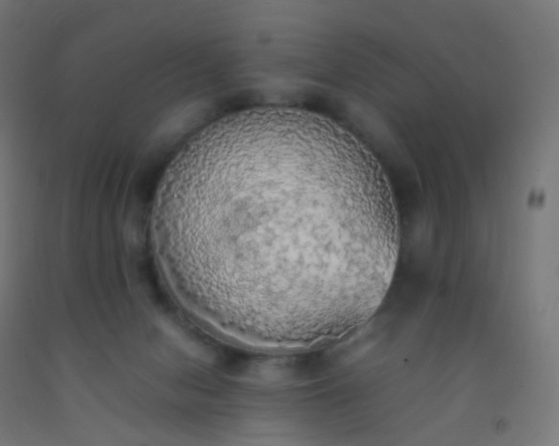 X0000092330078200709281435