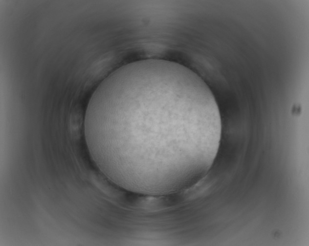 X0000092330082200709281435