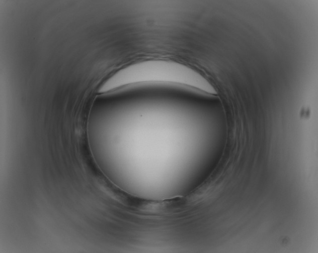 X0000092330084200709281435