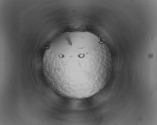 X0000092330085200709281435