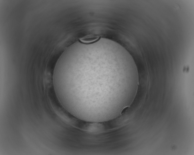 X0000092330087200709281435
