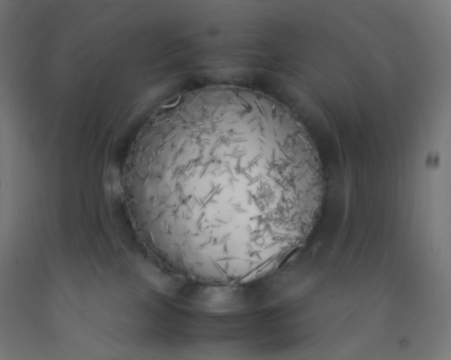 X0000092330089200709281435
