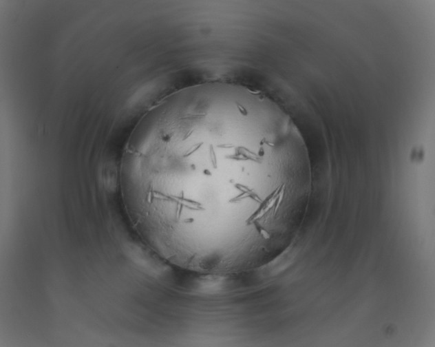 X0000092330090200709281435