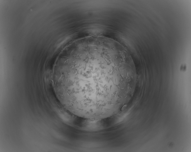X0000092330093200709281435