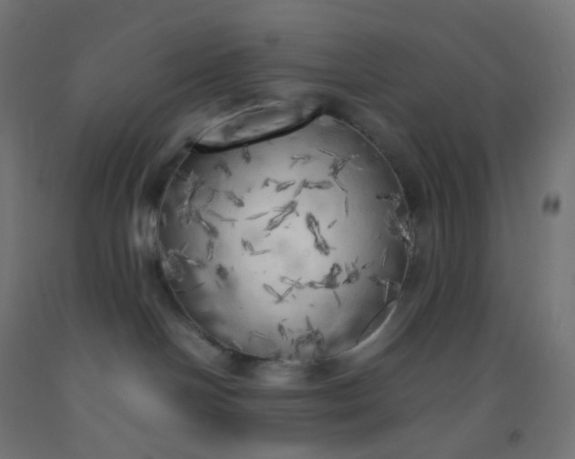 X0000092330094200709281435