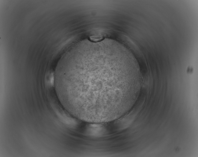 X0000092330095200709281435
