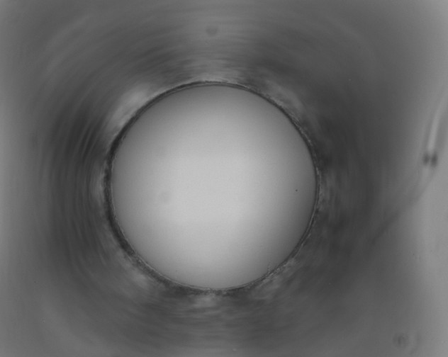 X0000092330098200709281434