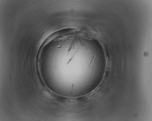X0000092330099200709281434