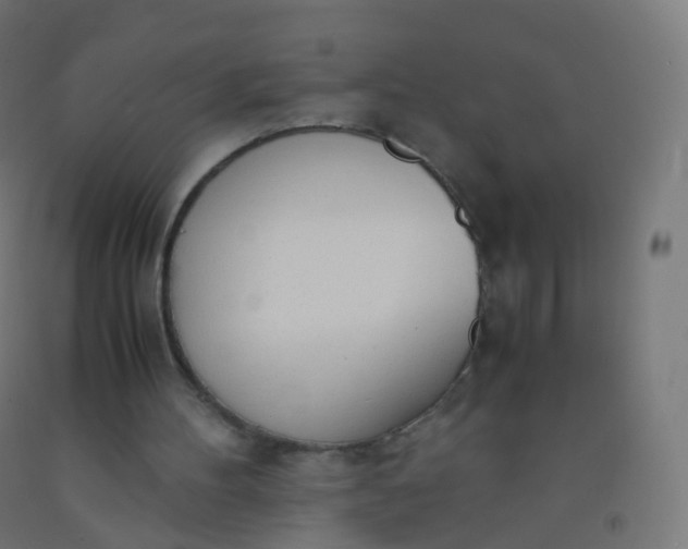 X0000092330100200709281434