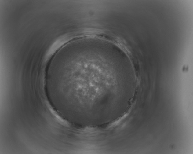 X0000092330101200709281434