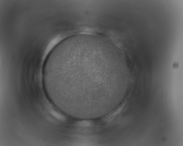 X0000092330102200709281434
