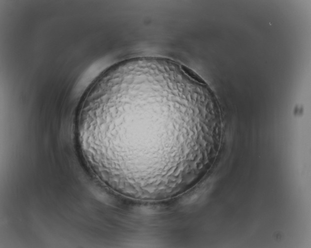 X0000092330103200709281434