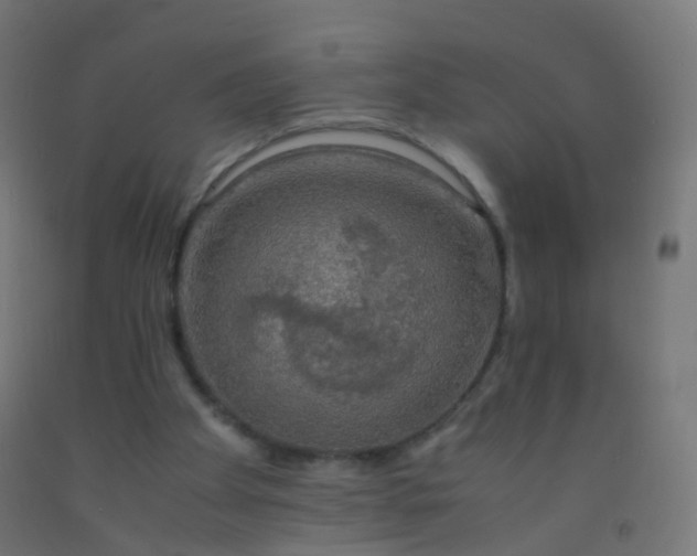 X0000092330105200709281434