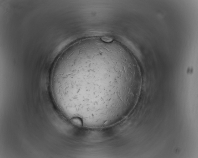 X0000092330107200709281434