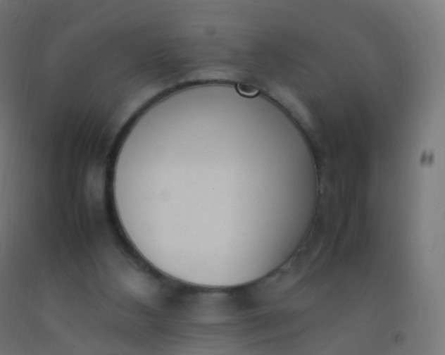 X0000092330108200709281434
