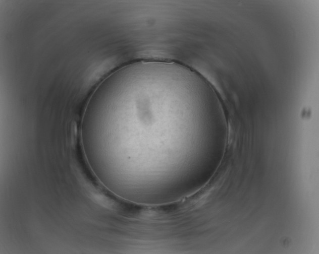X0000092330109200709281434