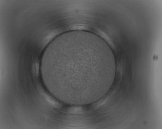 X0000092330110200709281434