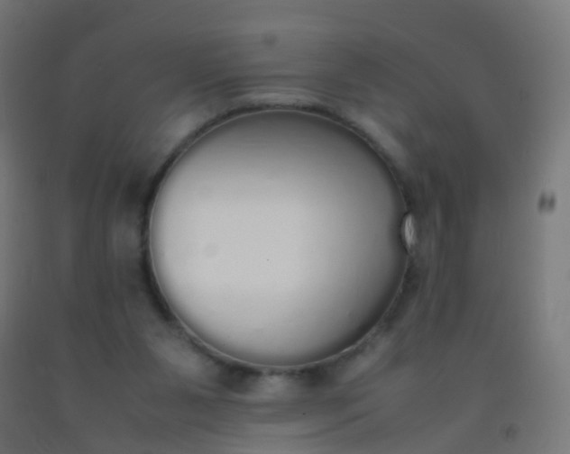 X0000092330111200709281434